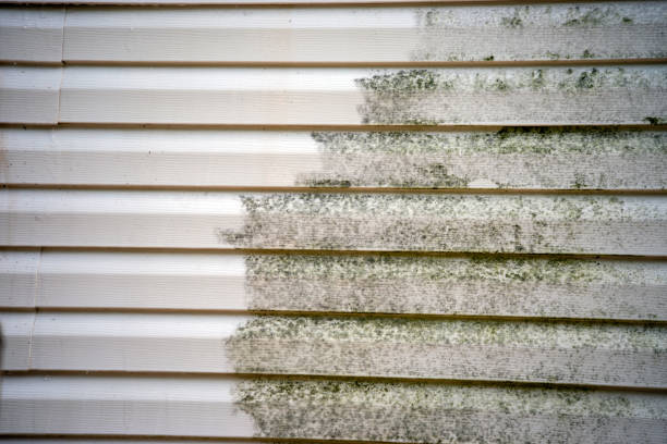 Best James Hardie Siding  in Miami Shores, FL